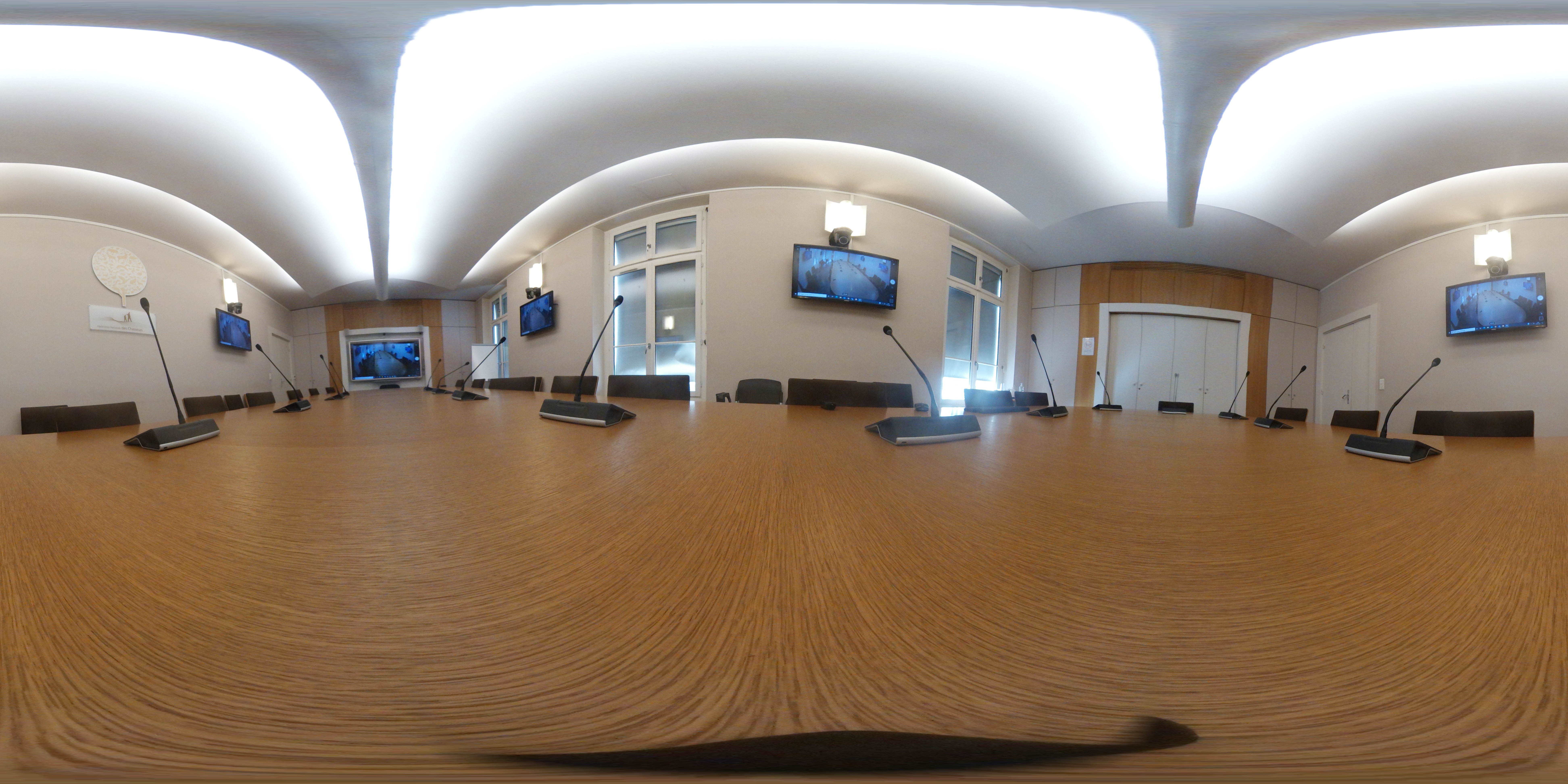 A 360 image of 3 men and a woman.